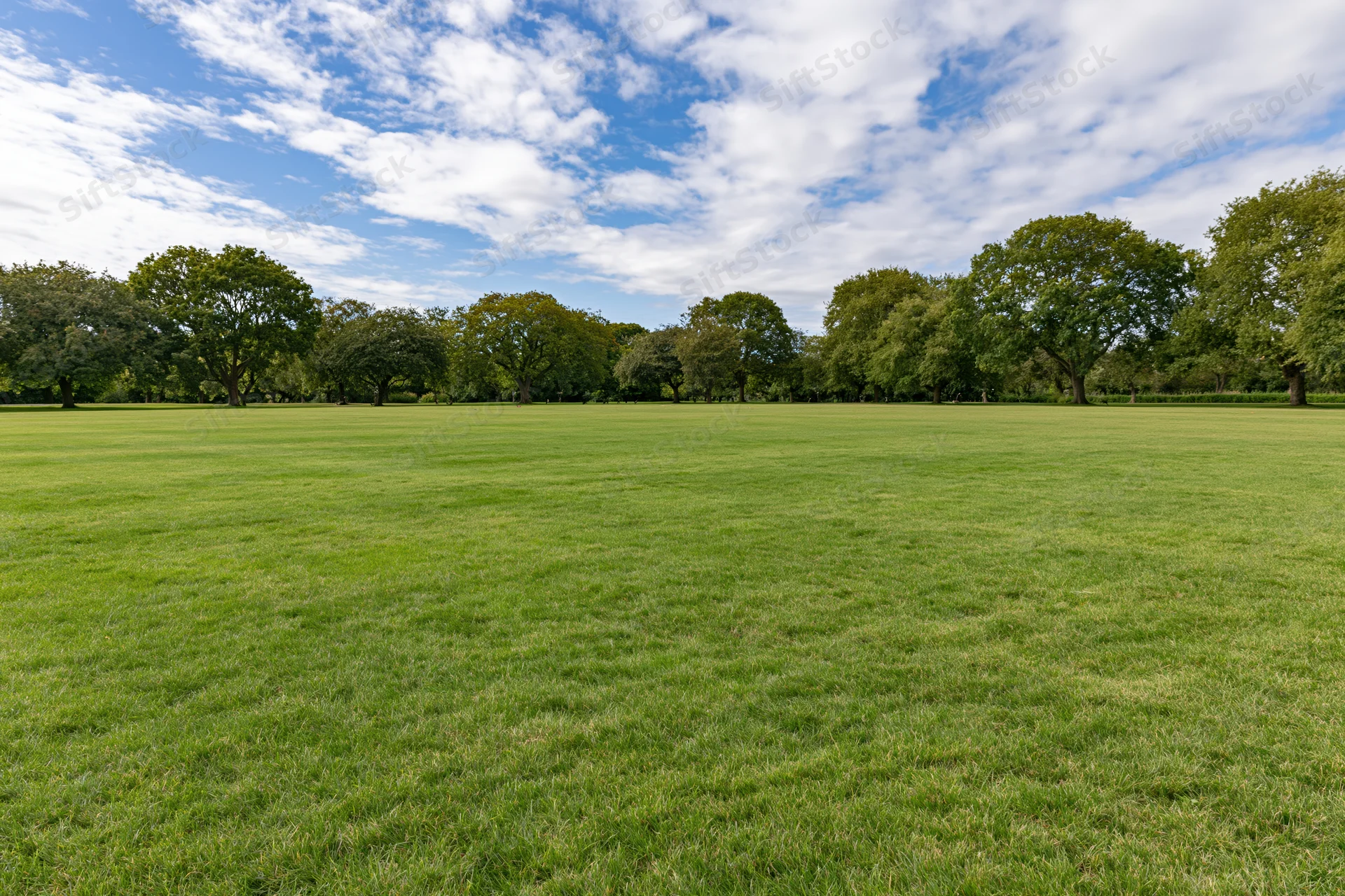 Wide open park lawn stretching toward a tree line under a blue sky with scattered clouds