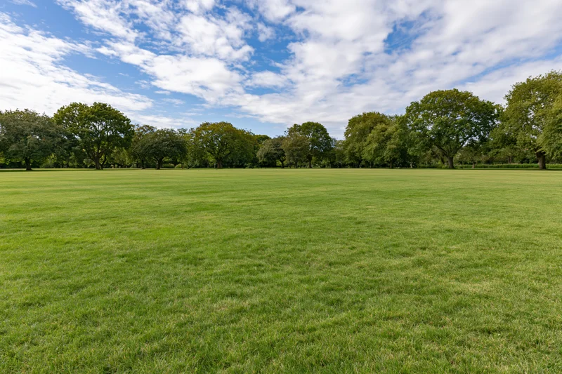 Wide open park lawn stretching toward a tree line under a blue sky with scattered clouds