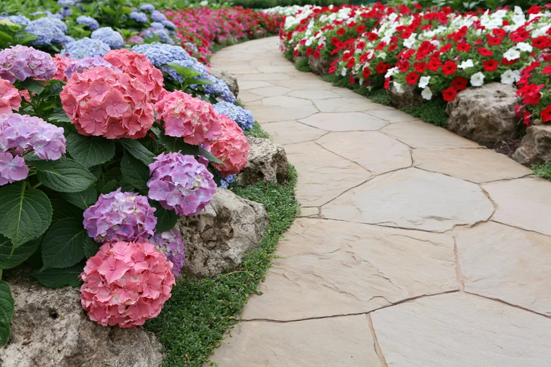 Winding flagstone path curving through densely planted flower beds with hydrangeas and petunias