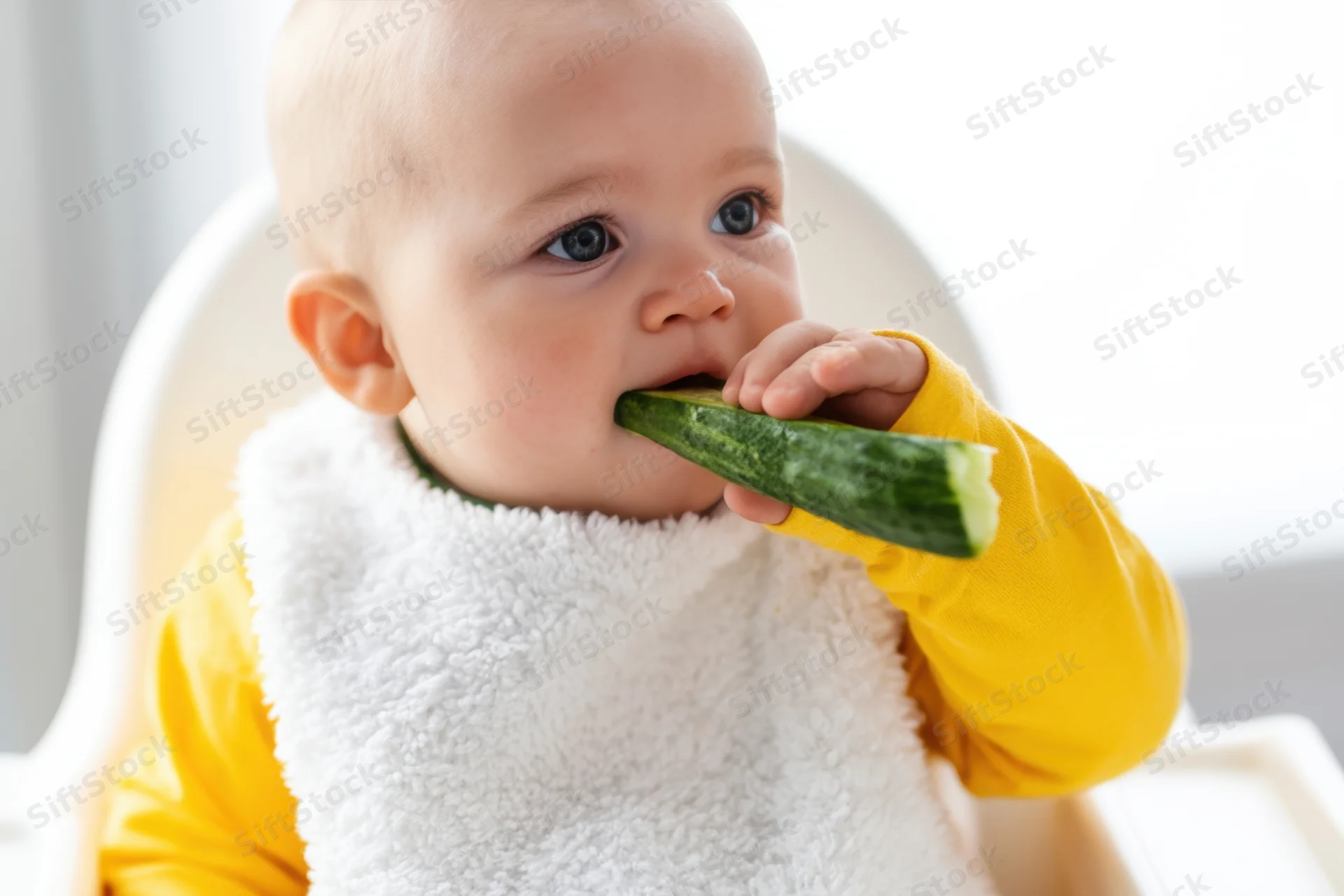Baby in yellow shirt eating cucumber while sitting in highchair with white bib