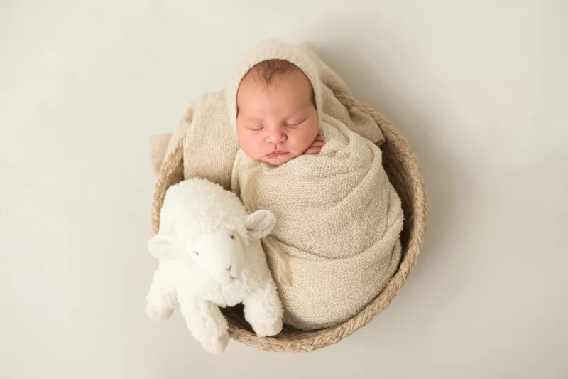 Newborn baby sleeping swaddled in a woven basket with a stuffed sheep toy