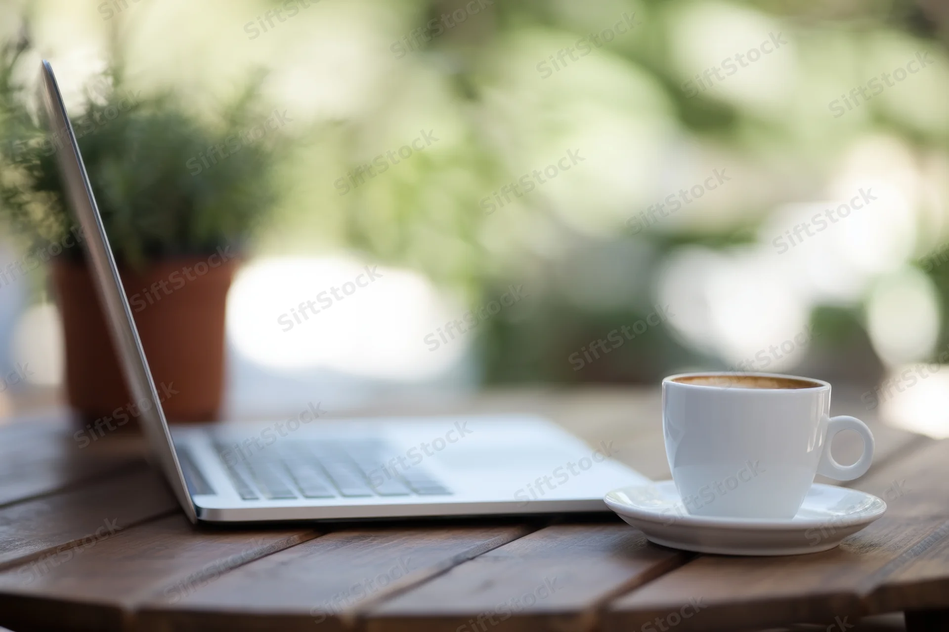 Silver laptop and white coffee cup on wooden table outdoors with green plant in background