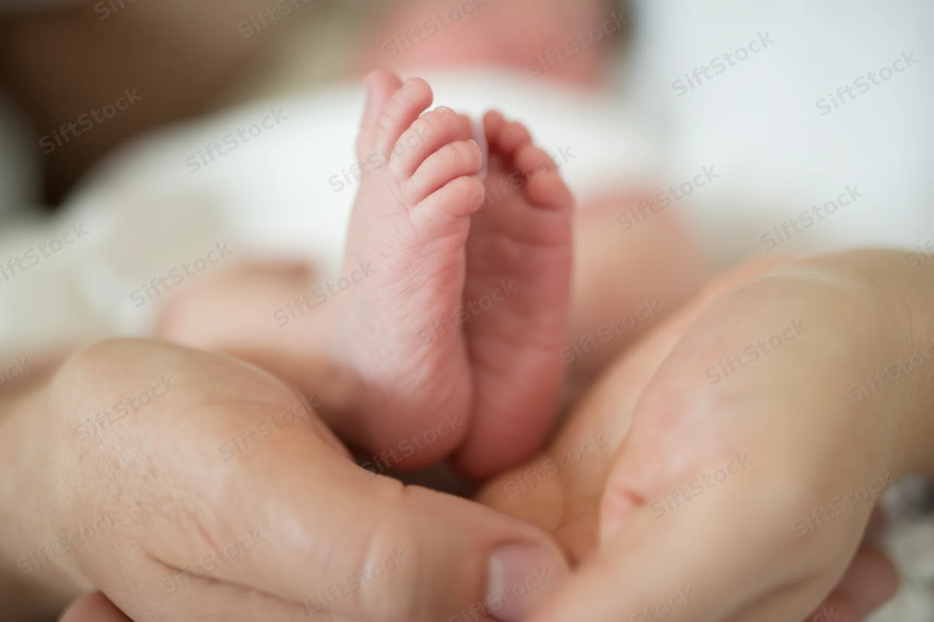 Newborn baby feet cradled in adult hands close up