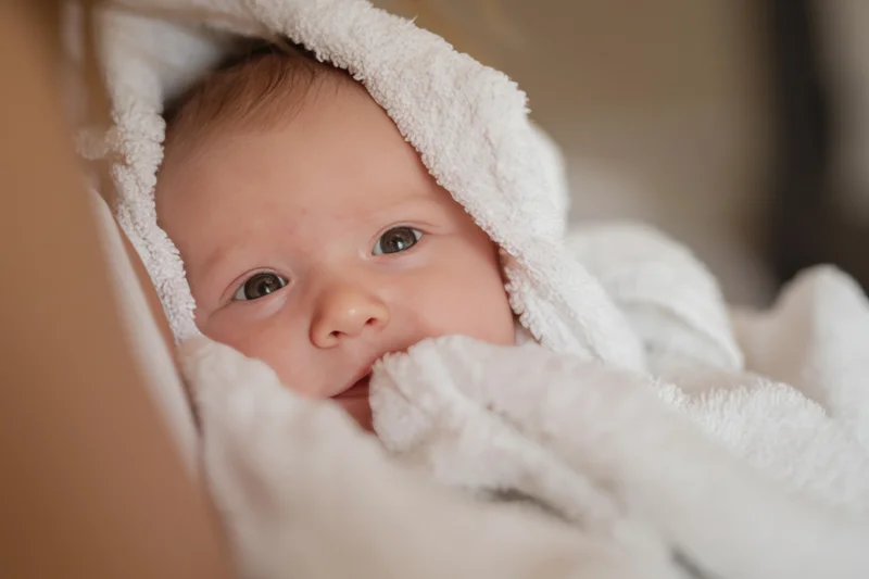 Newborn baby wrapped in a fluffy white hooded towel gazing softly at the camera