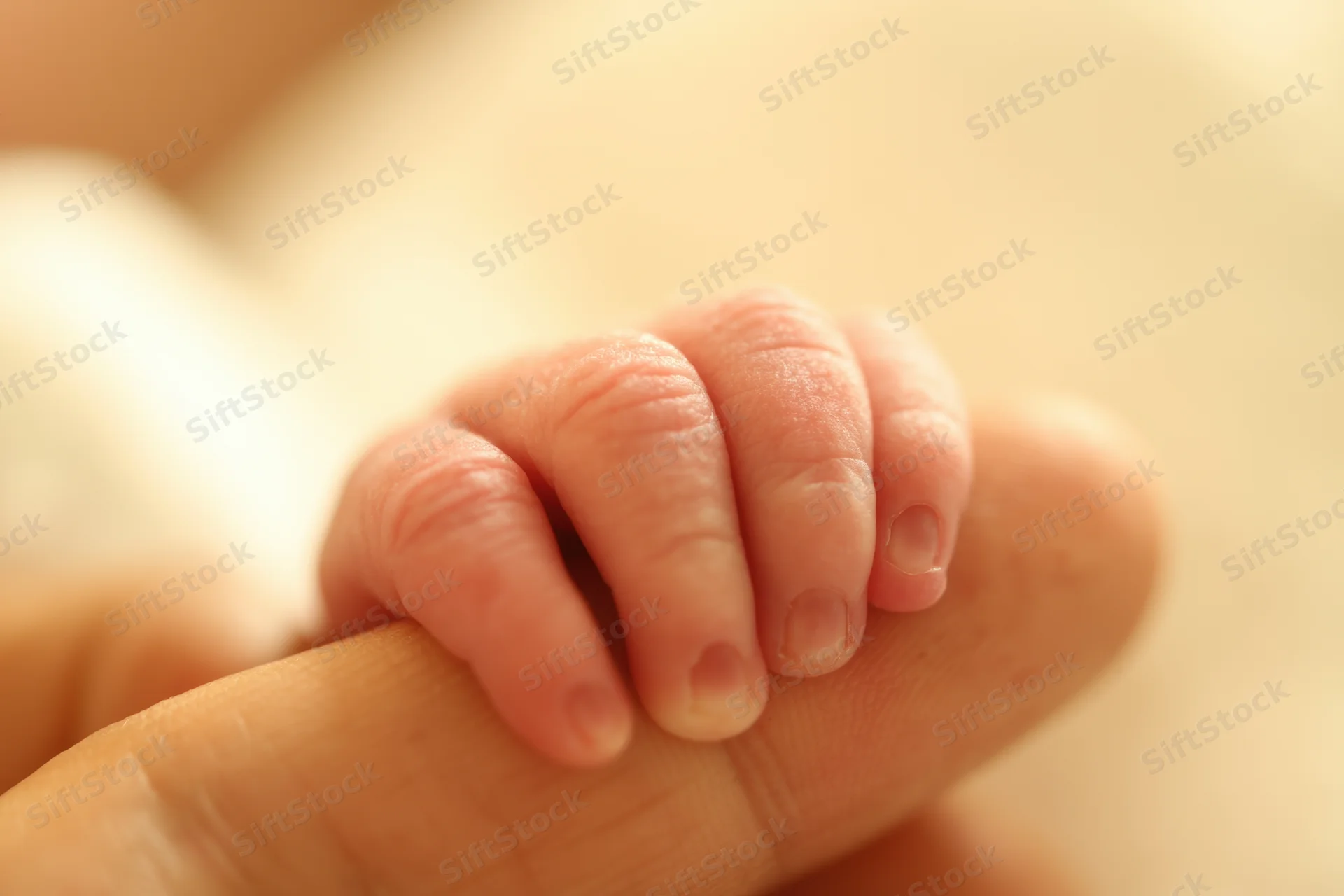 Newborn baby's tiny hand gripping an adult finger in close-up view