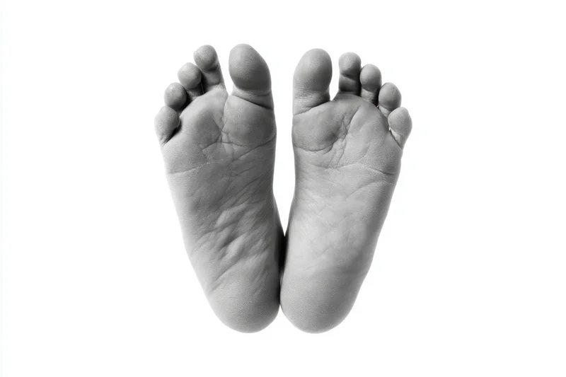 Two bare human feet viewed from above on a white background