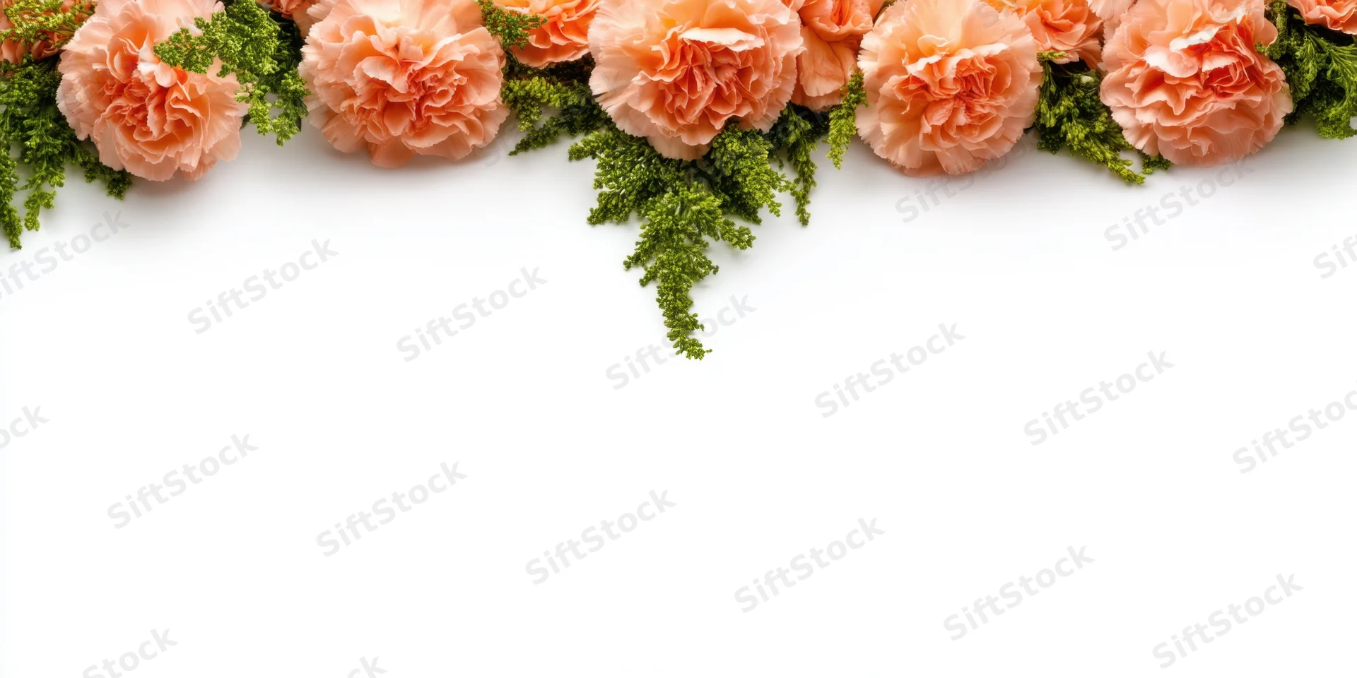 Peach carnations and green filler arranged in a floral border across the top of a white background