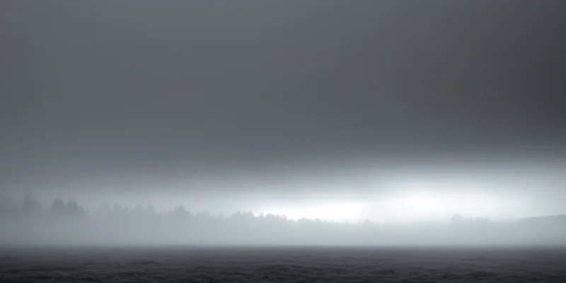 Dense fog covering a quiet landscape with soft light and tree silhouettes along the horizon