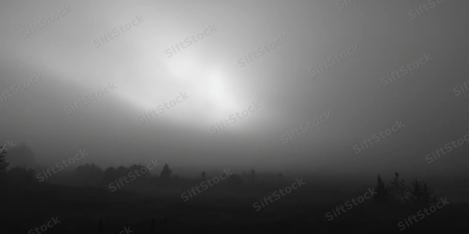 Fog-covered landscape with soft light and tree silhouettes at dawn