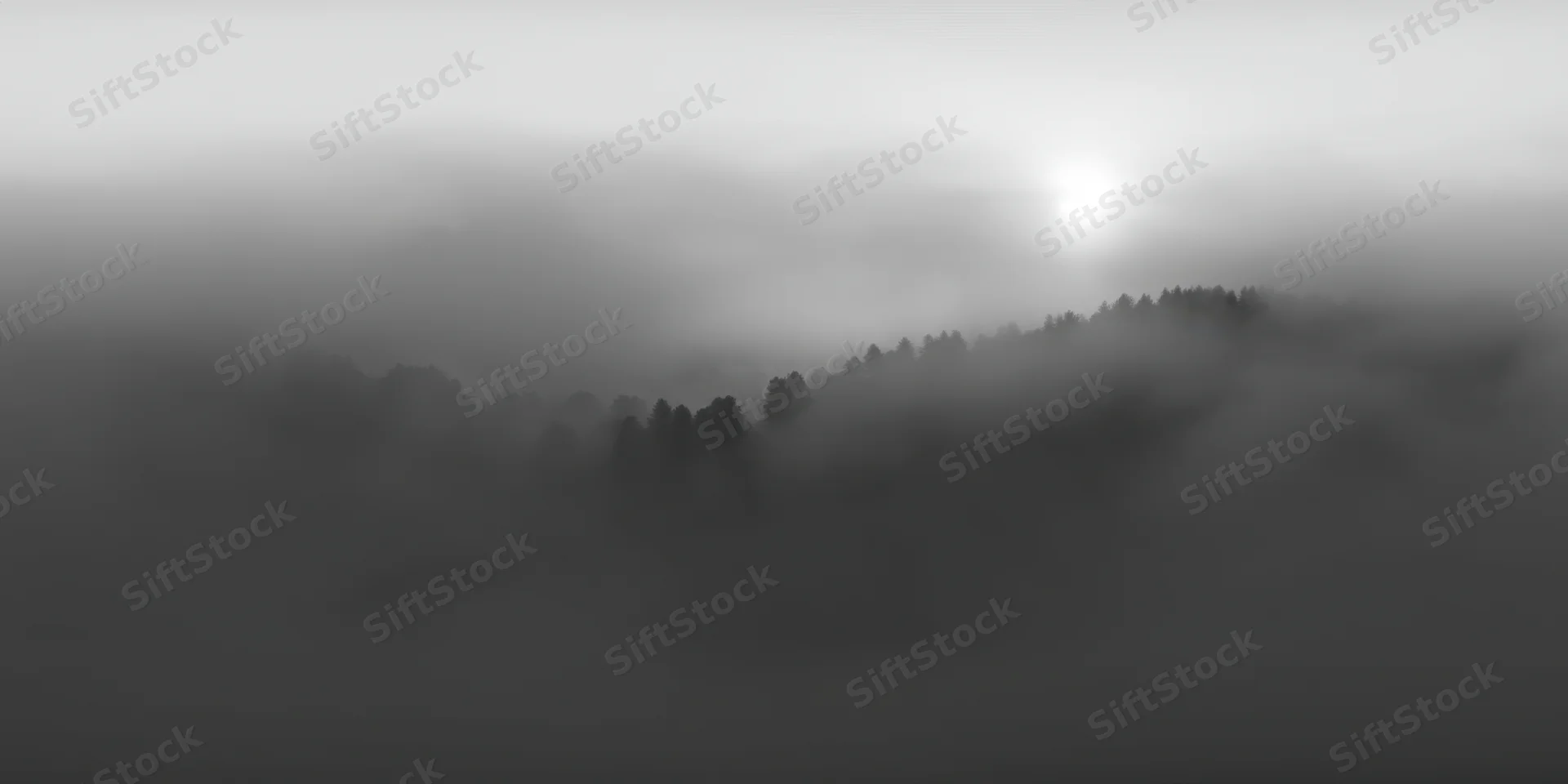 Fog-covered forest ridge with soft sunlight filtering through misty sky