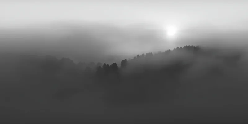 Fog-covered forest ridge with soft sunlight filtering through misty sky