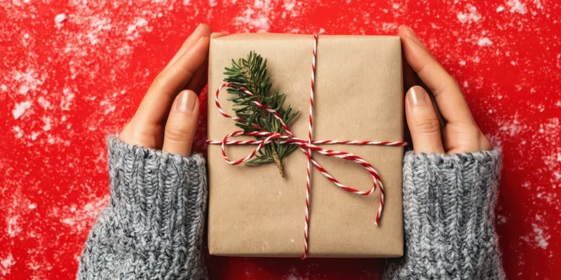 Hands holding a brown gift box wrapped with red and white twine and a pine sprig against a red snowy background