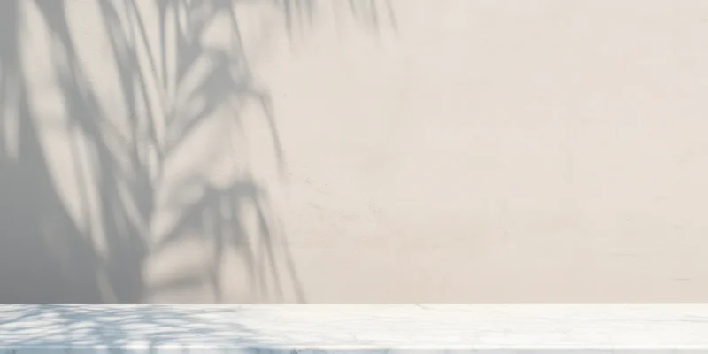Palm shadow on textured wall above white wooden table in minimal interior