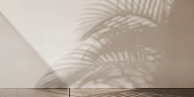 Palm leaf shadow projected on a pale plaster wall in a minimalist interior