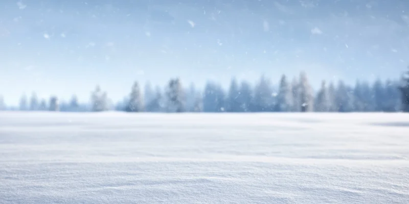 Snow-covered field under pale blue sky with distant forest in winter