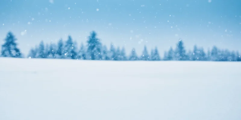 Snow-covered field under pale blue sky with distant trees in winter landscape