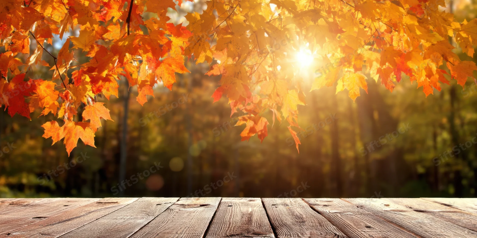 Autumn maple leaves framing a wooden table with sunlight filtering through in a forest setting