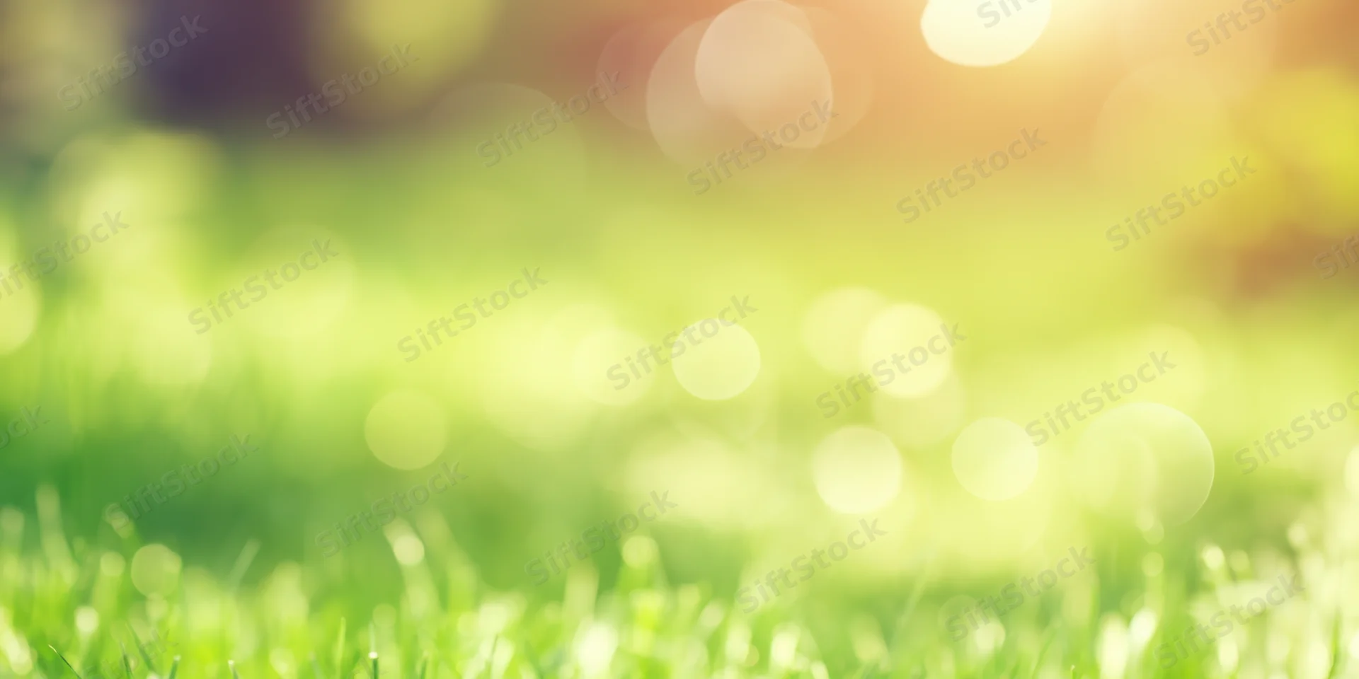 Sunlit blurred meadow with soft green grass and warm bokeh lights in the background