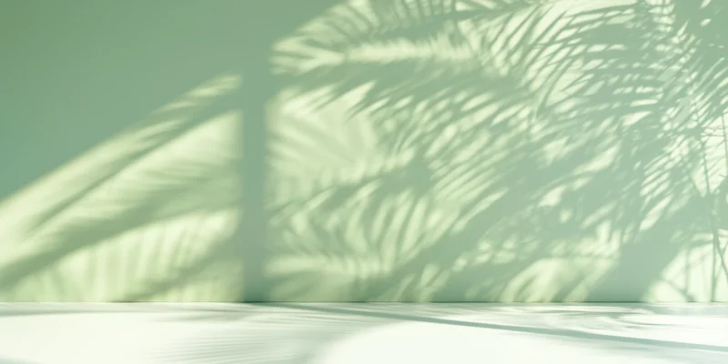 Palm leaf shadows cast on a pale green wall and white floor in a sunlit interior