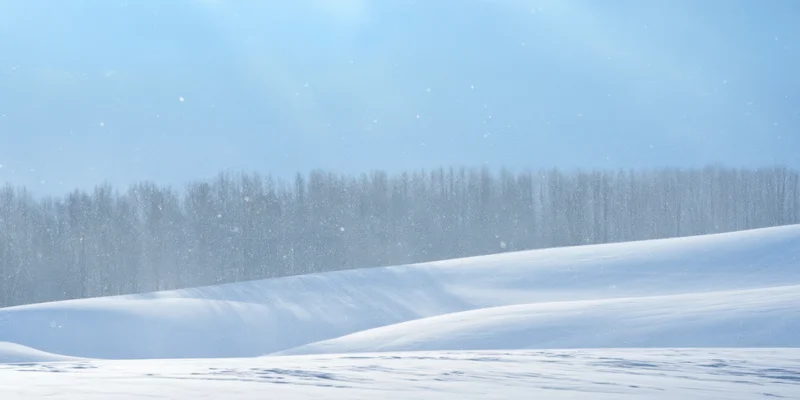 Snow-covered rolling hills under a pale blue sky with falling snow and a distant forest line