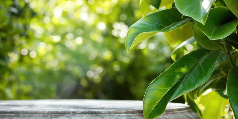 Weathered stone surface in a garden framed by green foliage with bokeh background and copyspace