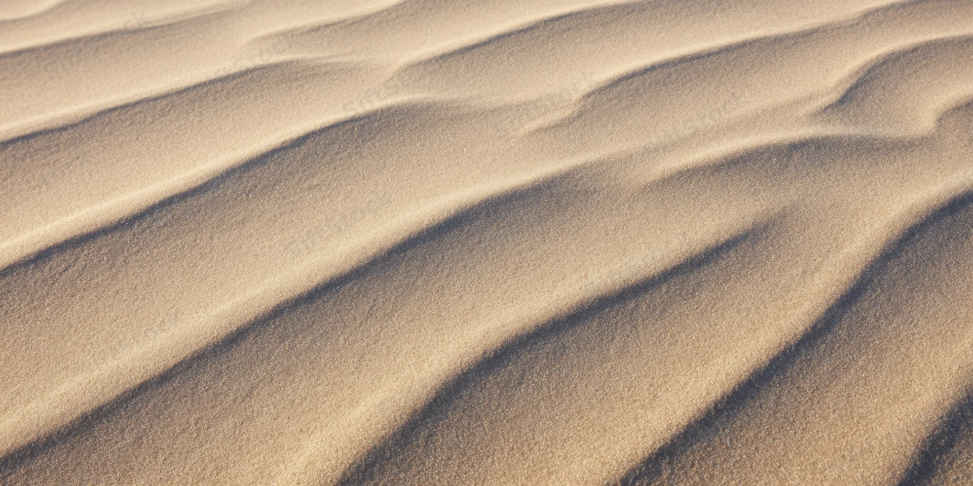 Wind-swept ridges of fine desert sand forming smooth undulating patterns across the dune surface