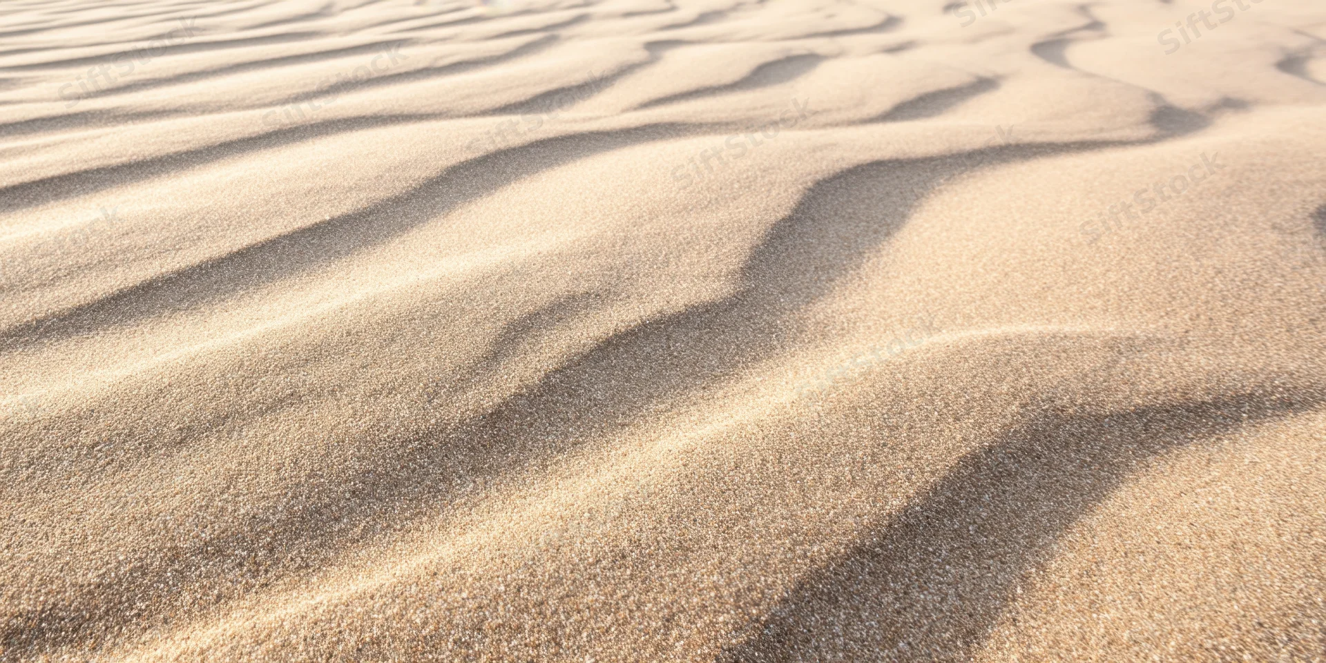 Wind-swept ridges of fine desert sand forming natural ripples across the dune surface