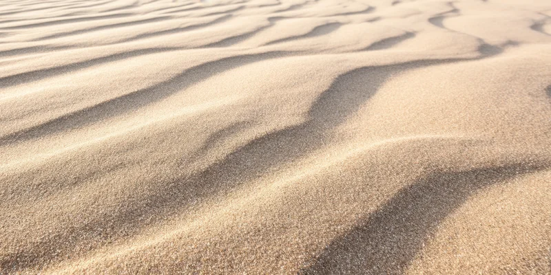 Wind-swept ridges of fine desert sand forming natural ripples across the dune surface