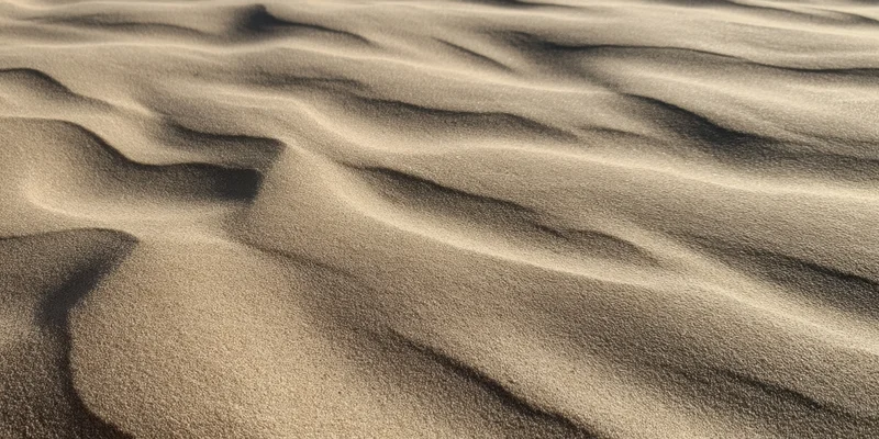 Wind-swept desert sand forming rippled dunes across an arid landscape