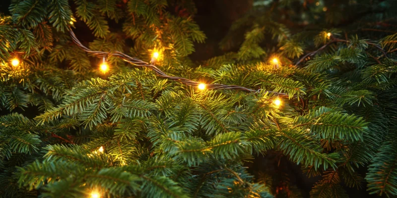 Evergreen tree branch adorned with warm fairy lights for holiday decoration