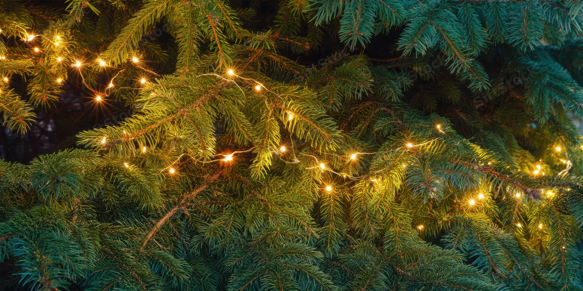 Evergreen tree branch adorned with warm fairy lights for christmas decoration