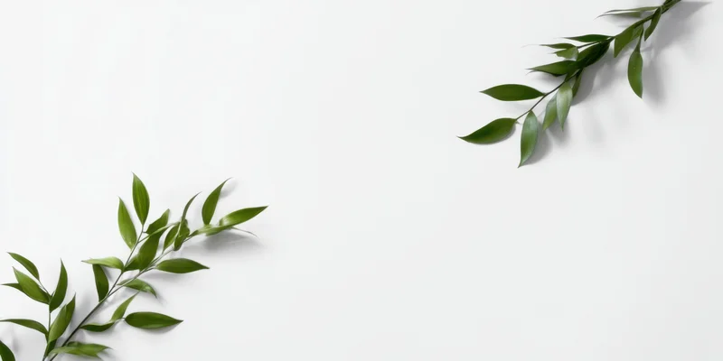 Bamboo leaves arranged on white studio surface with copyspace