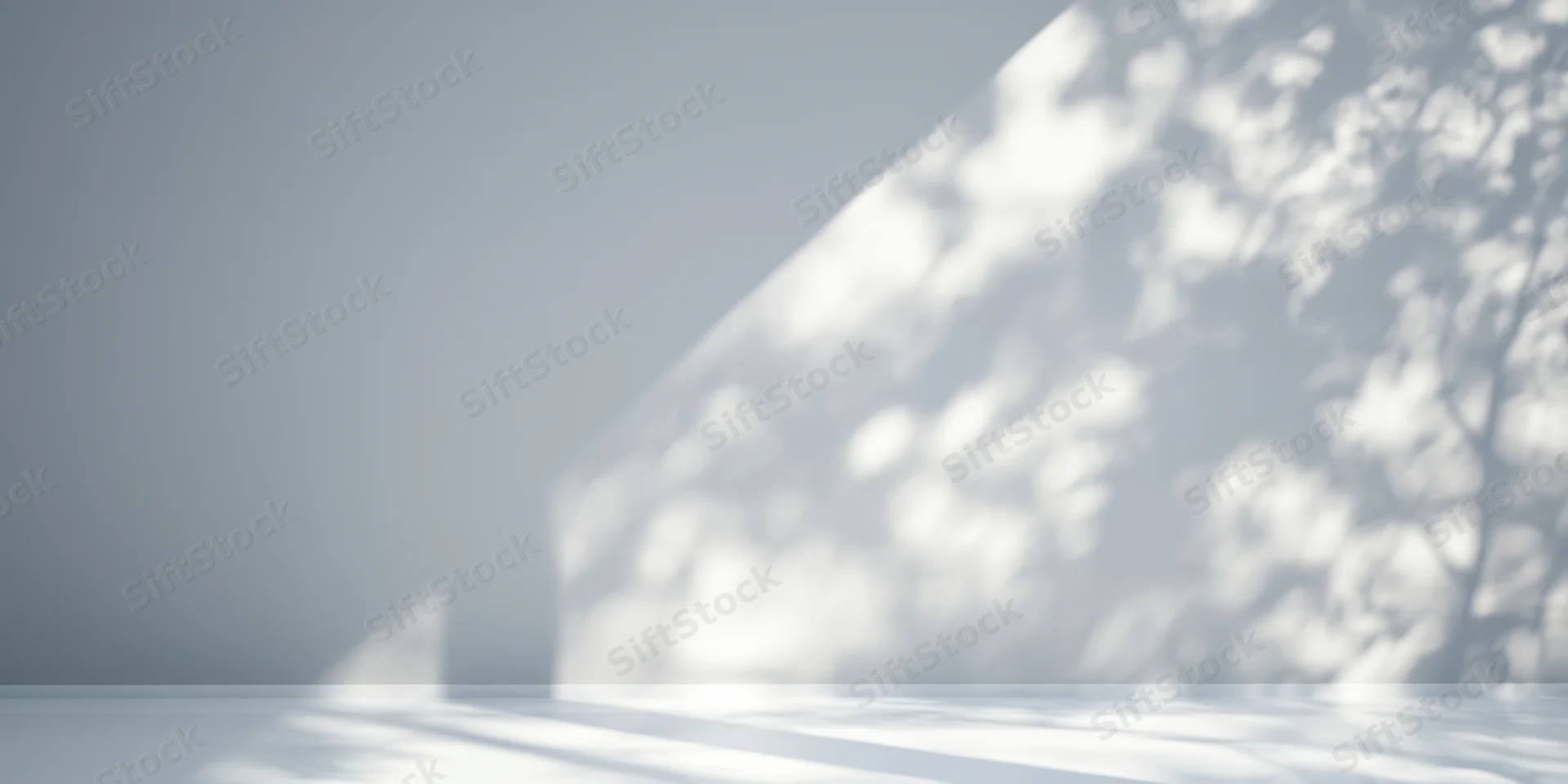 Minimalist studio interior with soft sunlight casting tree shadows on a smooth gray wall and white floor