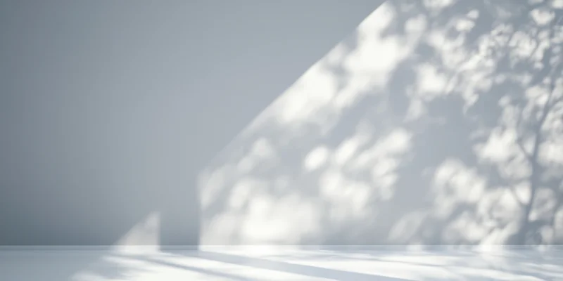 Minimalist studio interior with soft sunlight casting tree shadows on a smooth gray wall and white floor
