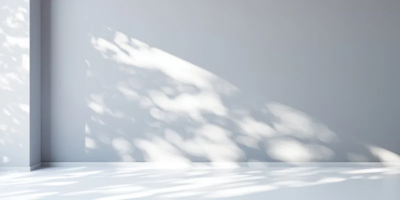 Dappled sunlight casting soft shadows on a minimalist white studio wall and floor