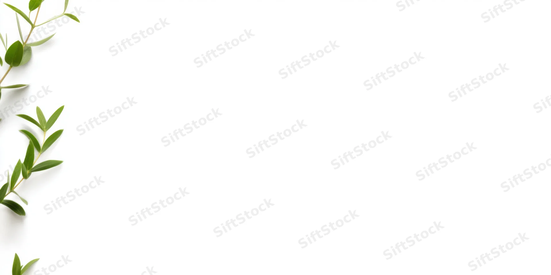Slender green sprig with small leaves arranged vertically along left edge on white background