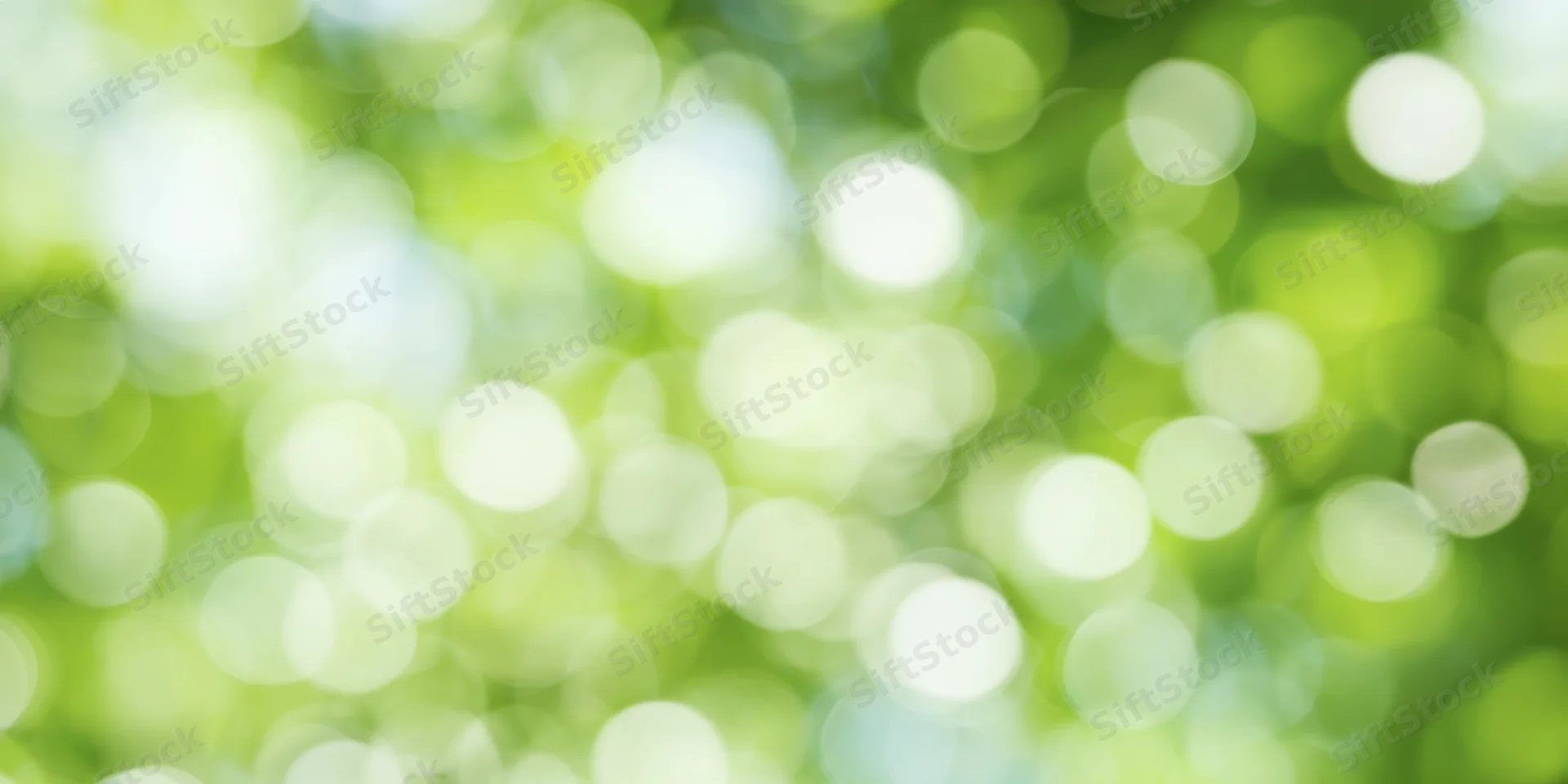 Soft green bokeh background with circular light orbs from foliage in natural daylight
