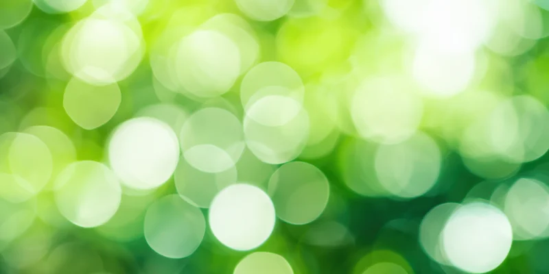Soft green bokeh background with circular light orbs arranged in a blurred natural pattern