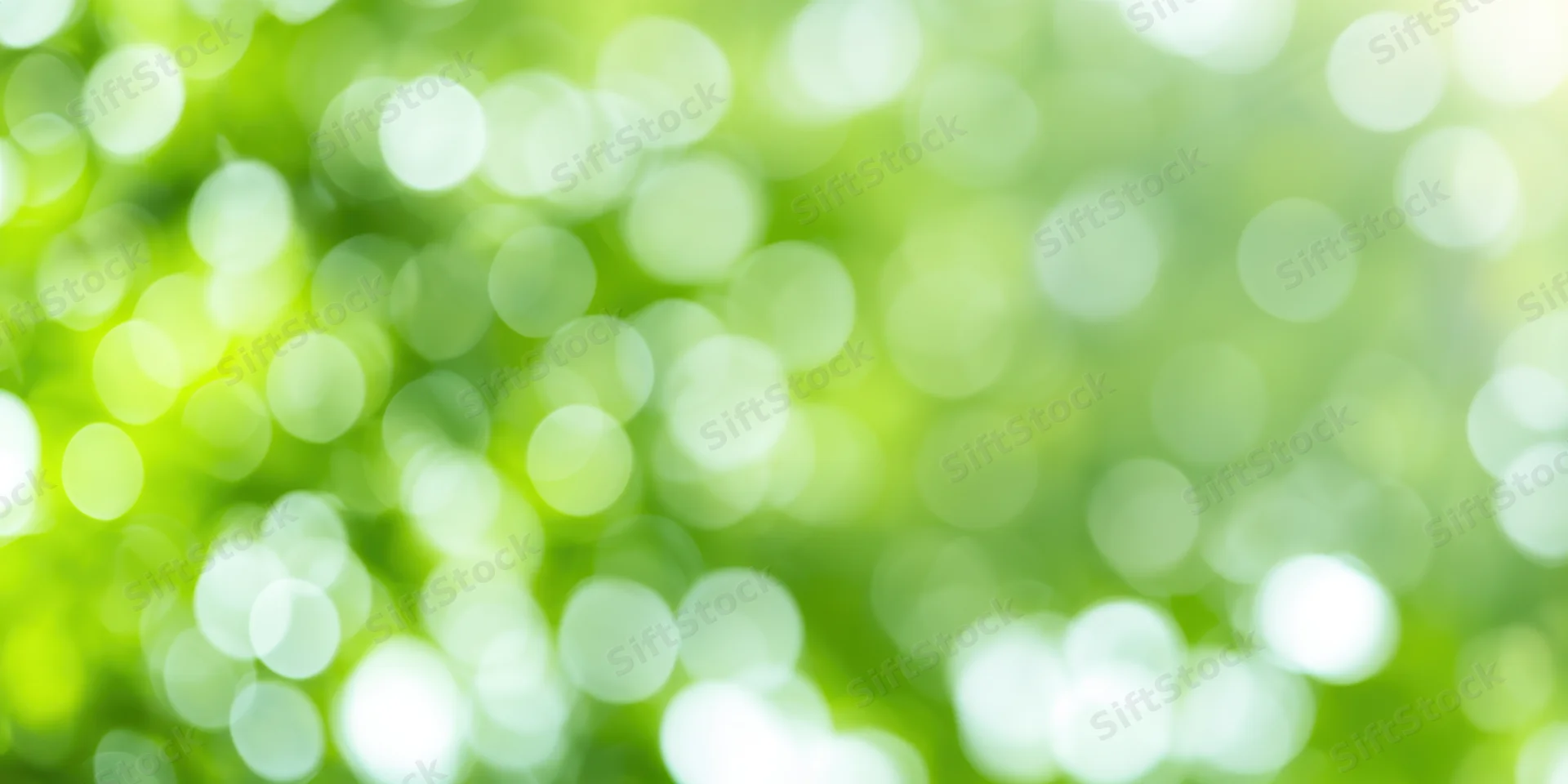 Soft green bokeh background with circular light orbs from blurred foliage in natural daylight