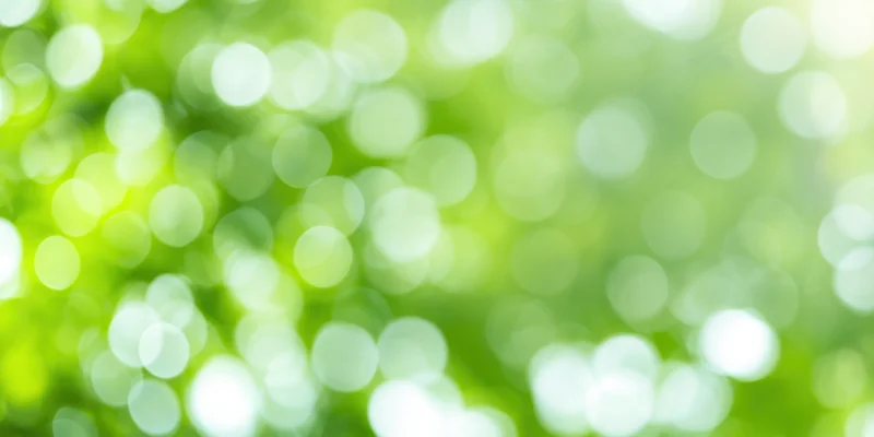 Soft green bokeh background with circular light orbs from blurred foliage in natural daylight