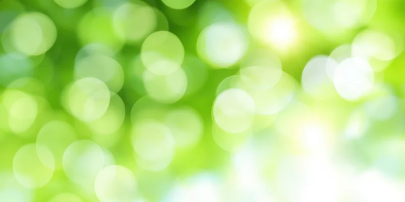 Bright green bokeh background with soft focus and sunlit glow
