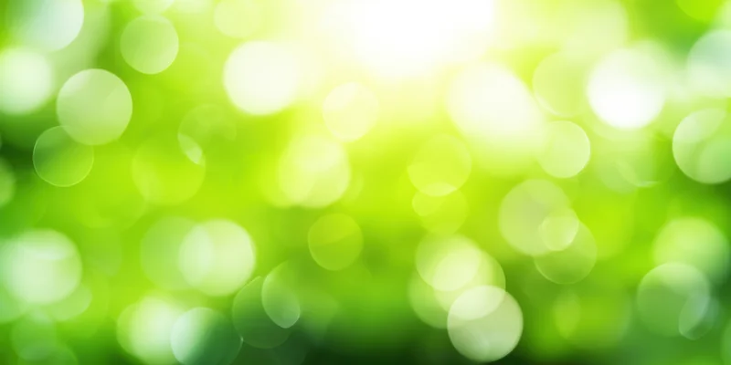 Bright green bokeh background with soft focus and sunlit glow