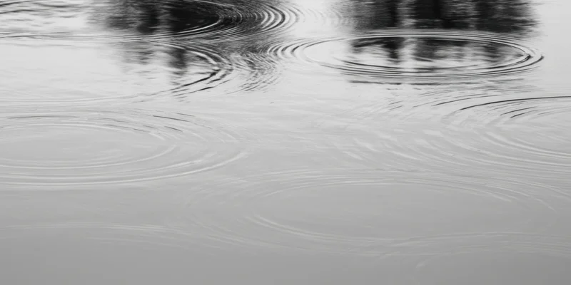 Calm water surface with concentric ripples spreading from raindrops