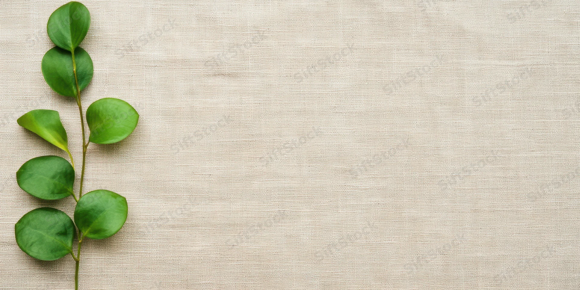 Slender green leafy branch arranged vertically on beige woven fabric background