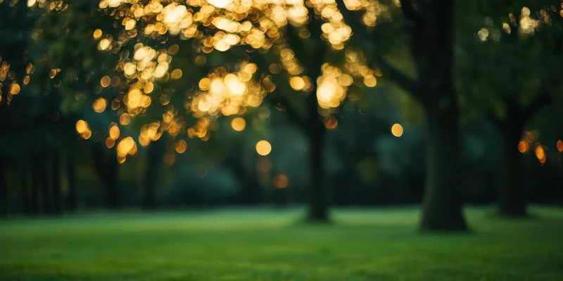 Lush green lawn in a park with blurred trees and golden bokeh sunlight filtering through foliage