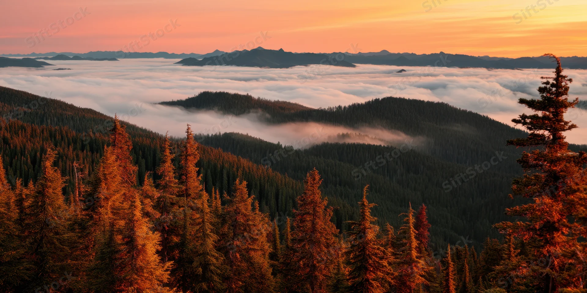 Rolling forested hills blanketed in fog at sunrise with distant mountains above the clouds