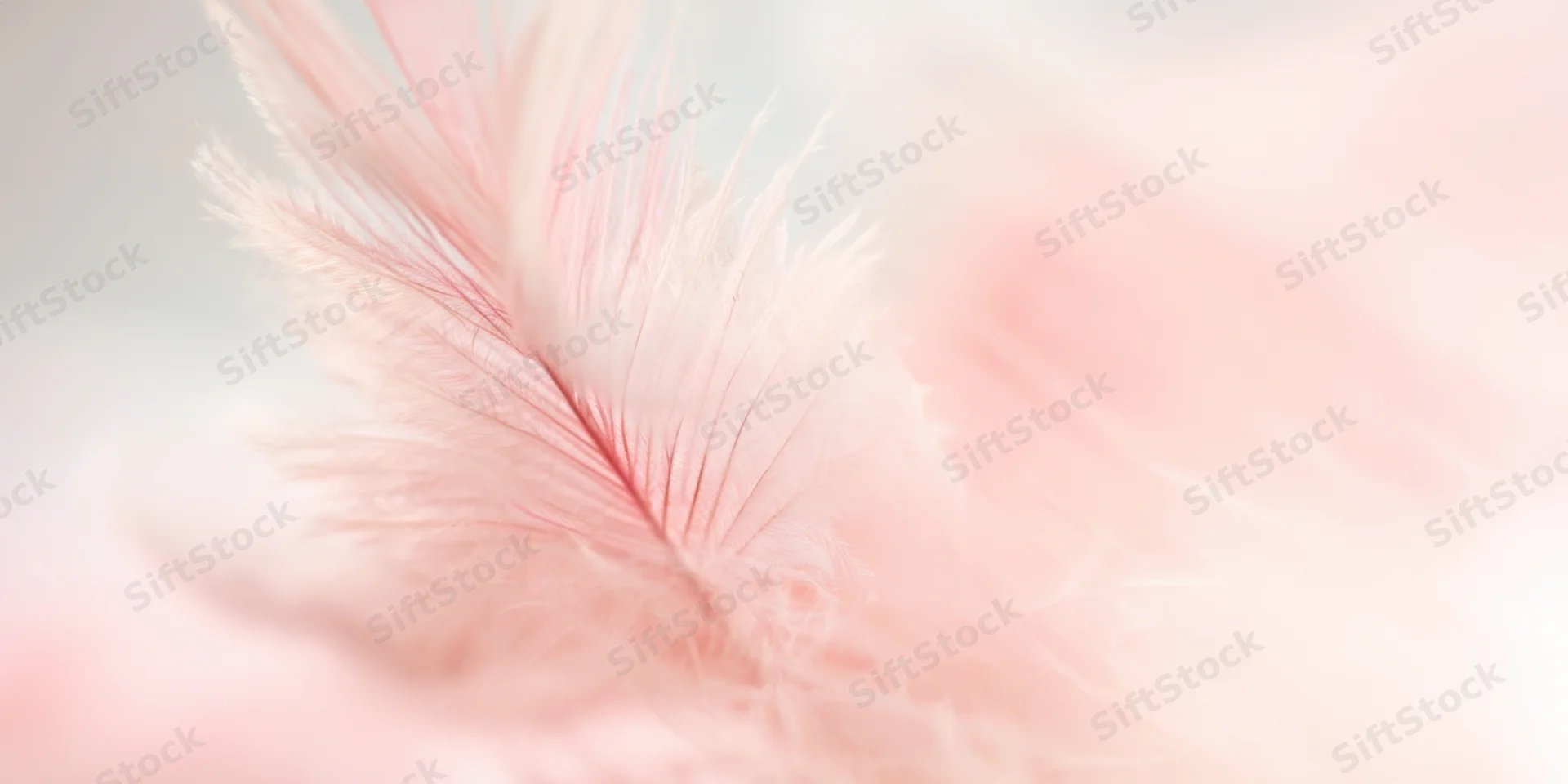 Soft pink feather in macro closeup showing delicate barbs and fine texture against blurred background