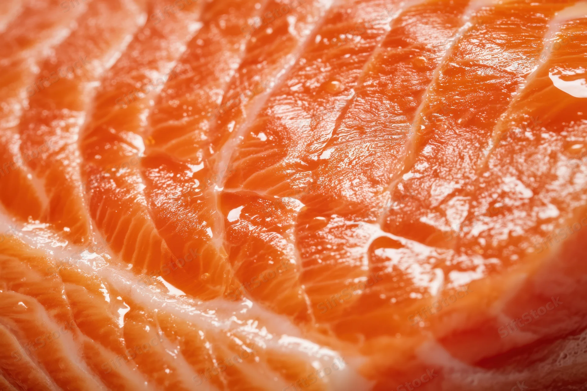 Macro close-up of a raw salmon fillet showing its orange flesh and white fat marbling