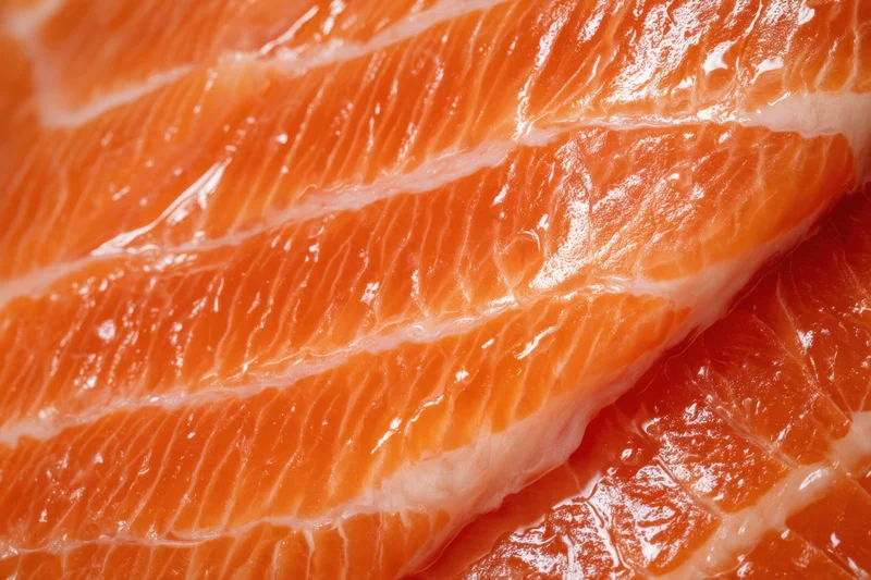 Macro close-up of raw salmon fillet showing muscle texture and fat lines