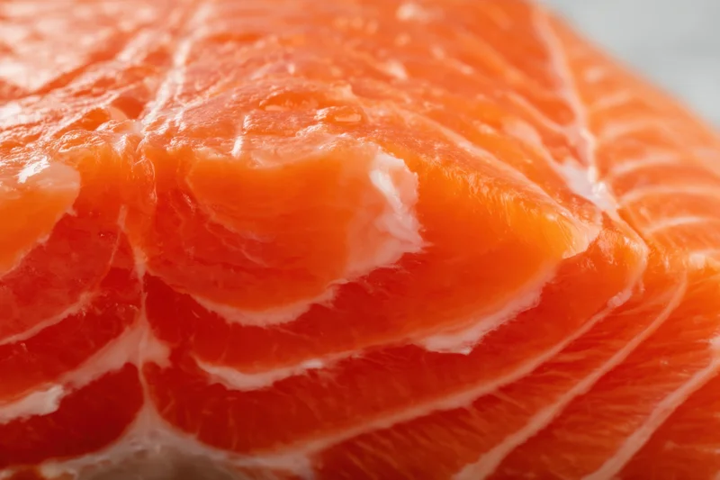 Close-up of raw salmon fillet showing orange flesh with white marbling